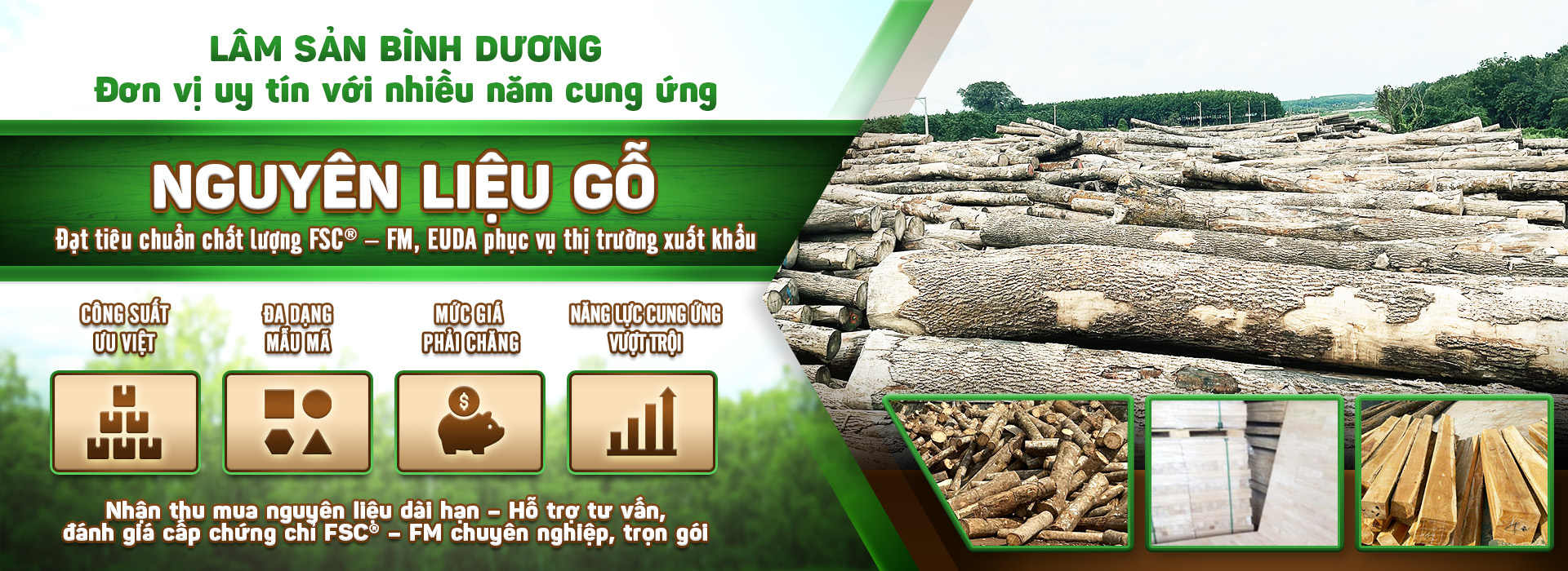 Công Ty Cổ Phần Kinh Doanh Lâm Sản Bình Dương